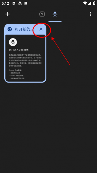 Chorme浏览器中文版