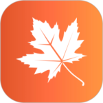 枫叶漂流瓶清爽版