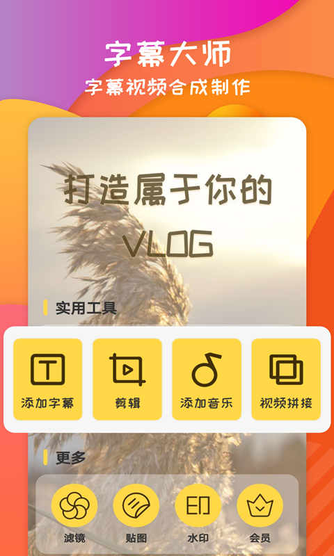 字幕大师手机版
