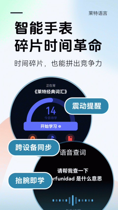 莱特西班牙语背单词app