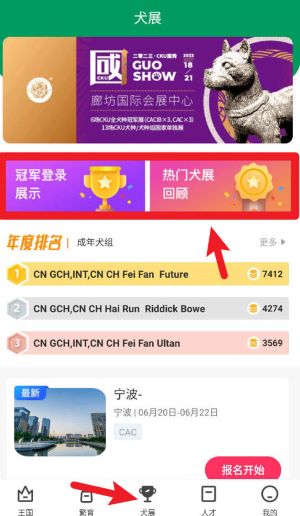 宠爱王国app