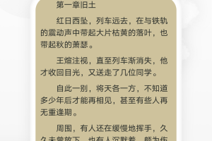 淘淘小说app