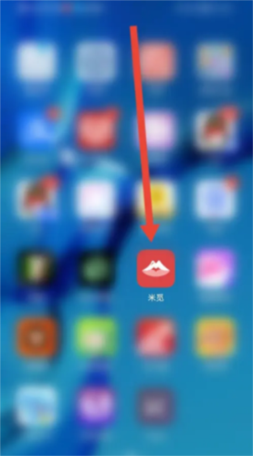 米觅交友软件