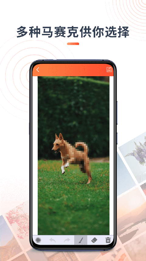 马赛克修图app