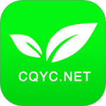 茶竹永川网最新版