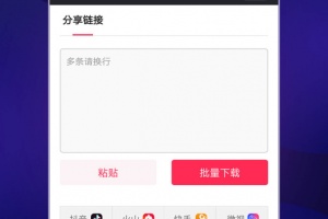 飞狐视频去水印