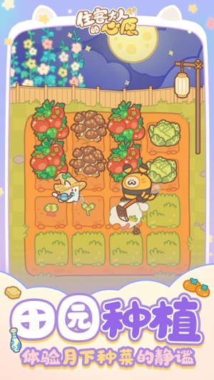 住客大人的心愿官方版