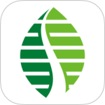 雄安行app