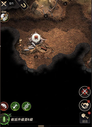 小小蚁国37客户端