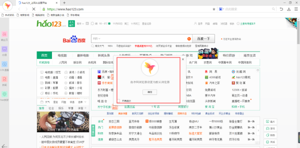 净网大师浏览器