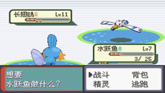 口袋妖怪漆黑的魅影5.0ex bw