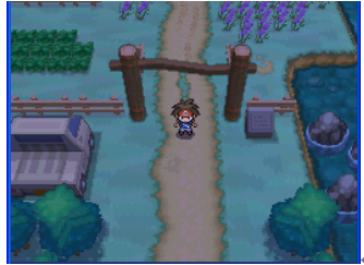 口袋妖怪黑2nds原版