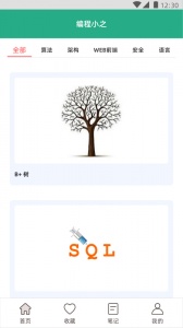 编程小之最新版