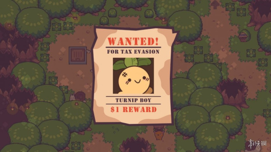 大头菜小子避税历险记