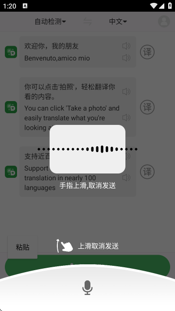极致语言翻译器app
