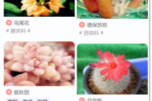 东篱花草app