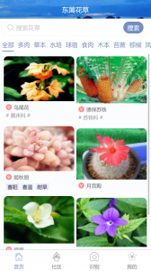 东篱花草app