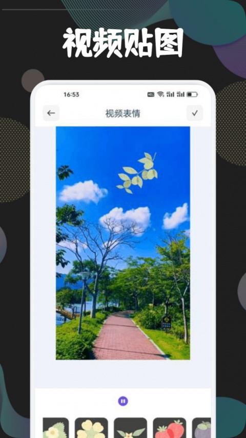 狮子影视（电视剧免费播放）