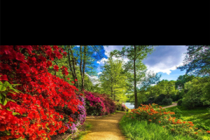 短知句子最新版