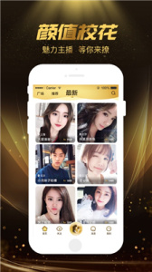 小奶猫(永久回归)