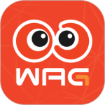 看个比赛官方版