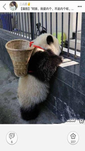 柚次元无广告版