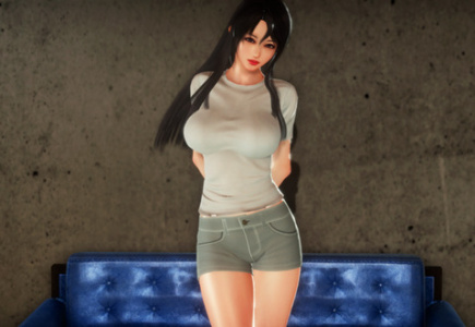 幻想驯化冷狐直装版