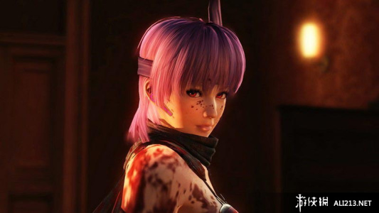 忍者龙剑传3：刀锋边缘