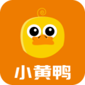 小黄鸭b站视频