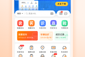 车300二手车app