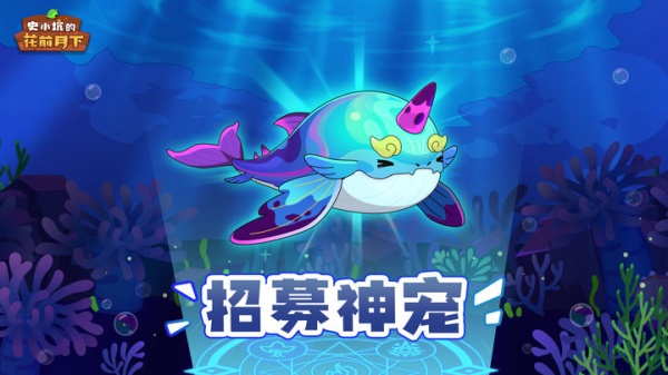 史小坑的花前月下最新版