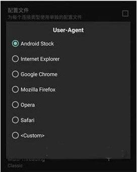 Advanced Download Manager手机版