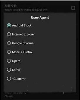 Advanced Download Manager手机版