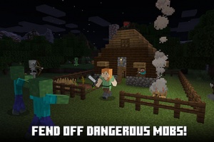 我的世界国际服生存服