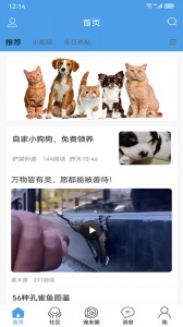 宠物之家最新版