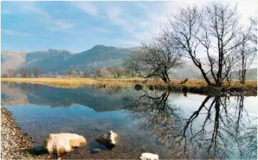 coreldraw免费中文版