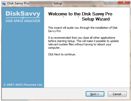 disk savvy pro