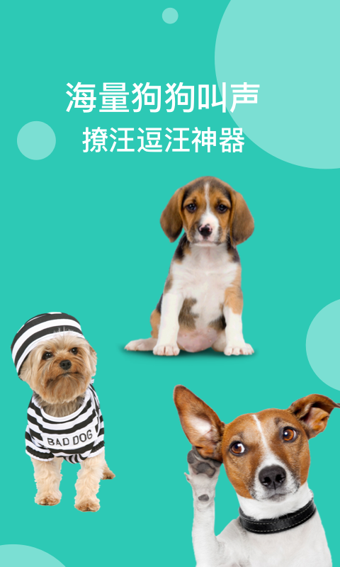 狗语翻译app