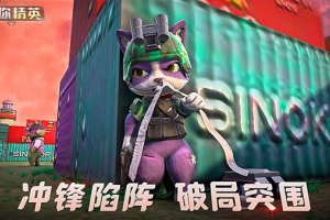 迷你精英最新版