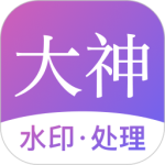 大神水印app