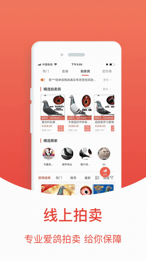 搜鸽天下app