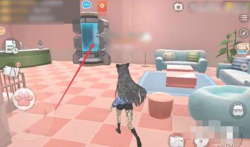 养了个猫官方正版