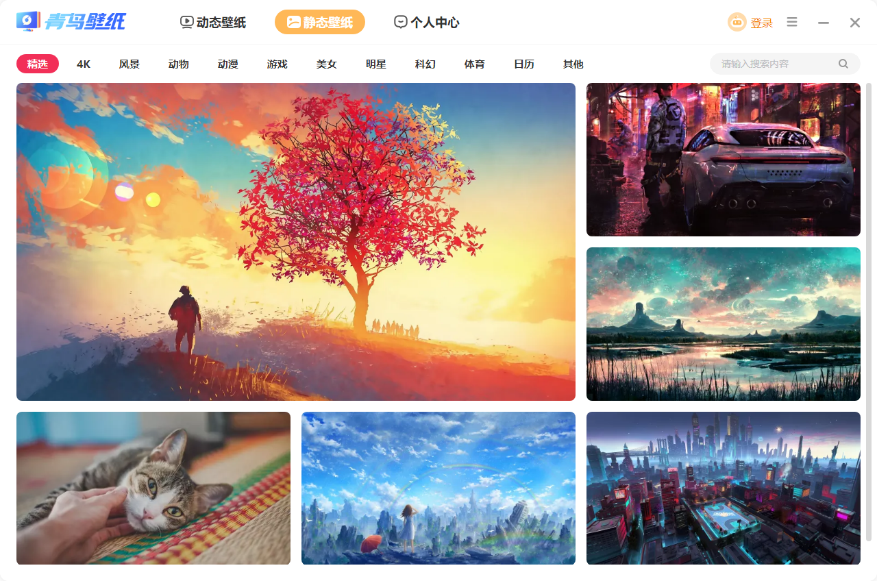 青鸟壁纸
