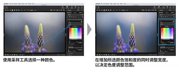 NX Studio