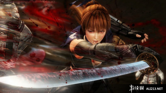 忍者龙剑传3：刀锋边缘