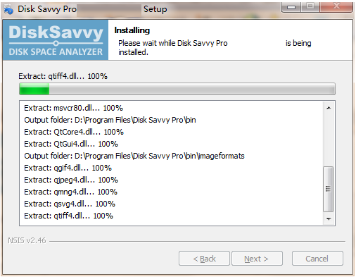 disk savvy pro