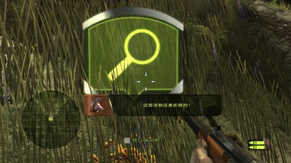 猎人的战利品2：美国