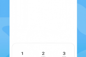 高清网络电话app官方版