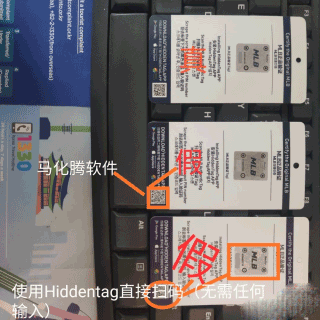 HiddenTag官方版