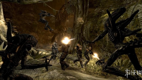 异形大战铁血战士